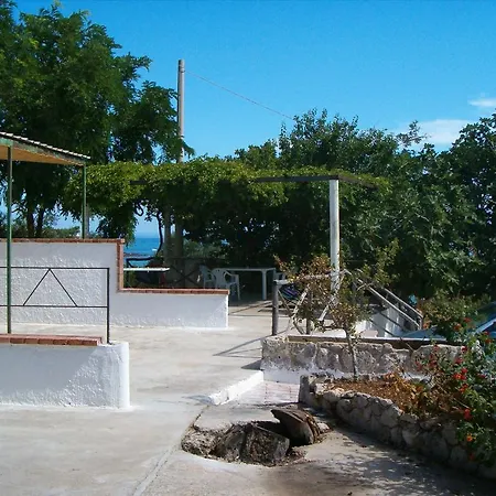 Oasi *