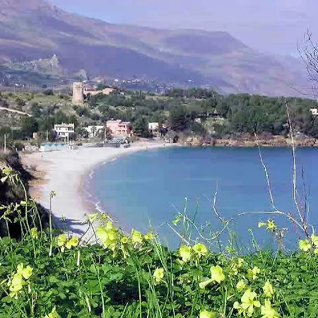 Oasi